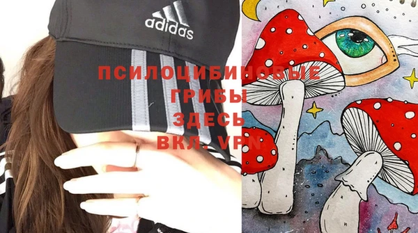 сатива Володарск