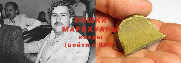 прущие грибы Волоколамск