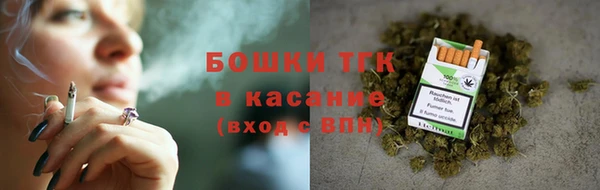 сатива Володарск