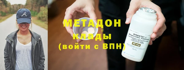 прущие грибы Волоколамск