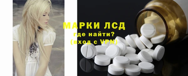 прущие грибы Волоколамск