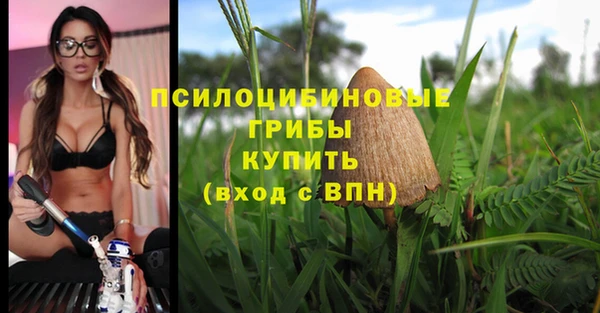 сатива Володарск