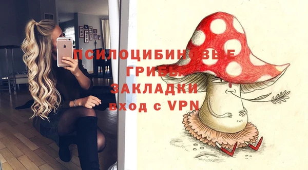 прущие грибы Волоколамск