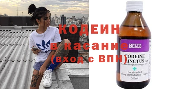прущие грибы Волоколамск