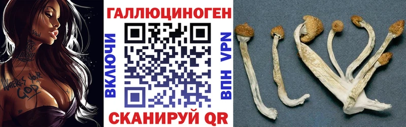 Галлюциногенные грибы Psilocybe  маркетплейс формула  Орск 